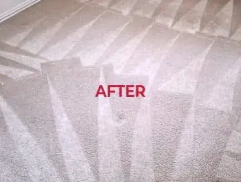 Professional Carpet - After Cleaning Services