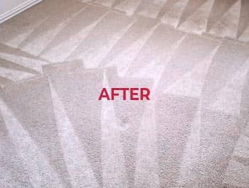 Professional Carpet - After Cleaning Services