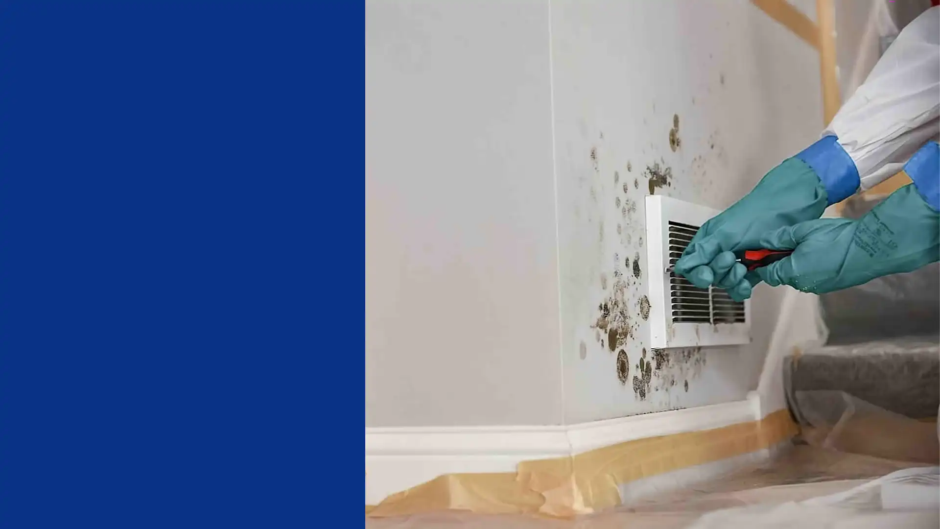Air Duct Mold Removal Services