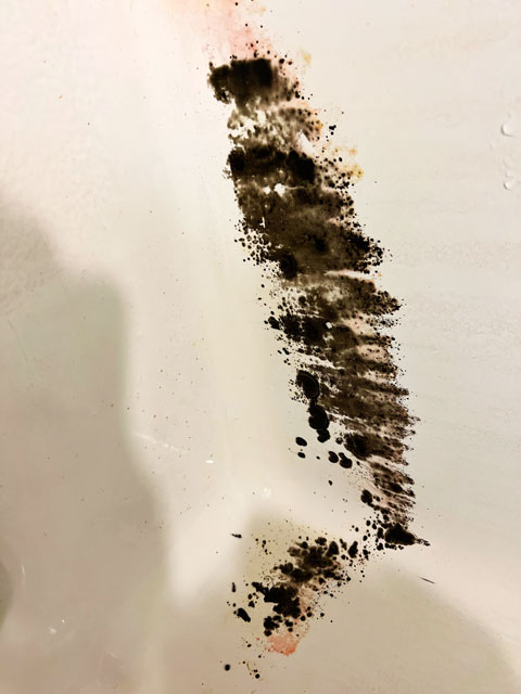 Mold in Bathrooms