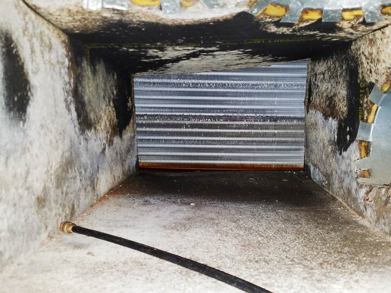 Air Duct Cleaning and Mold Removal in HVAC Systems