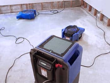 ProGeneralService expert Water Damage Cleanup and Restoration